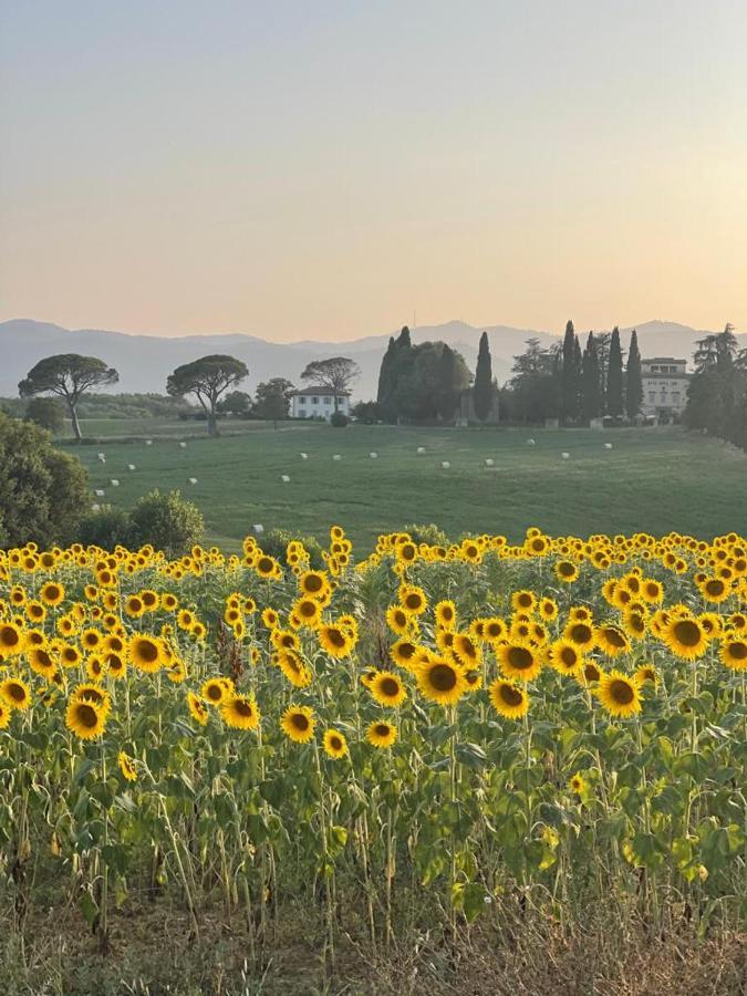Casa Le Rondini Toscana Bucine 外观 照片