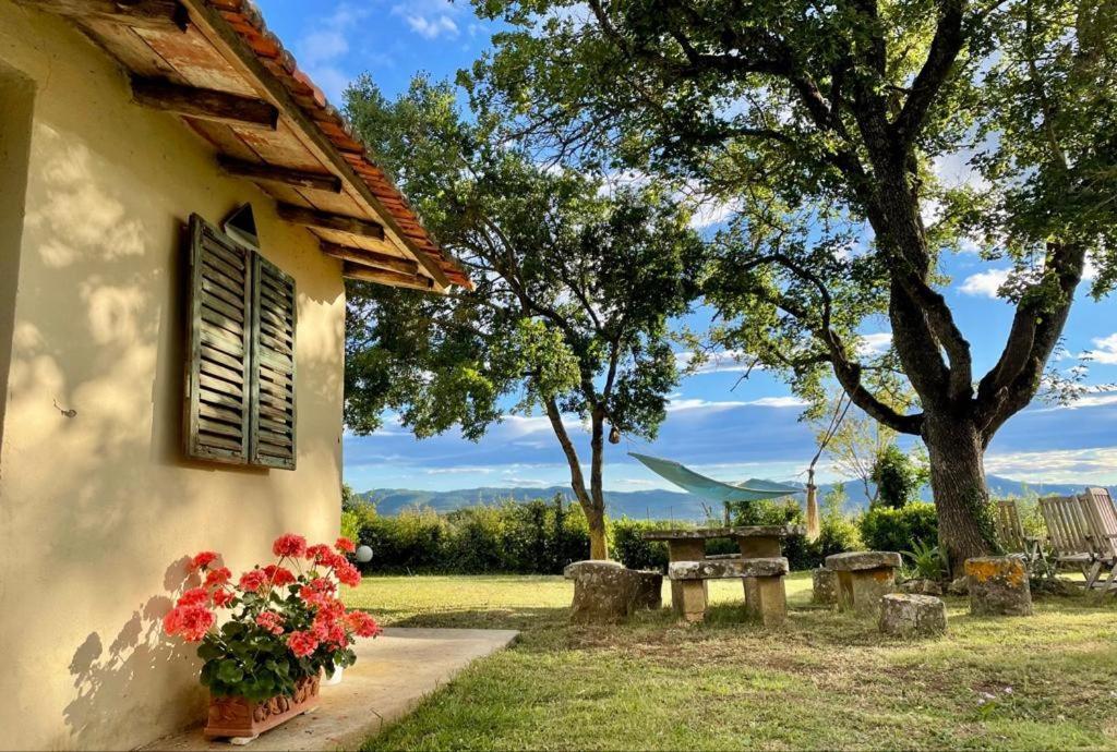 Casa Le Rondini Toscana Bucine 外观 照片